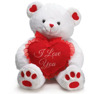 valentine's day gift as teddy